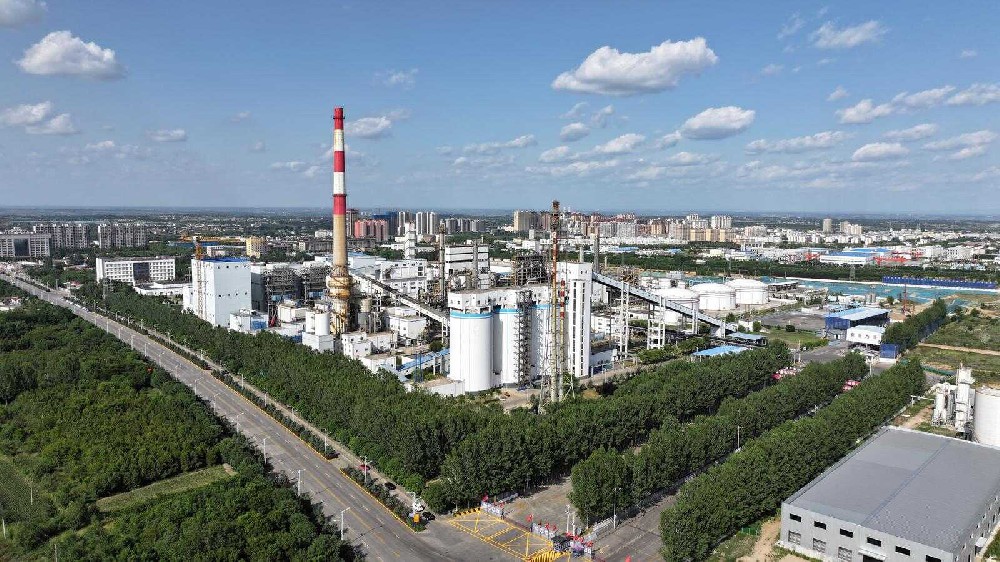 特色资源转化为支撑县域发展的“金牌产业”