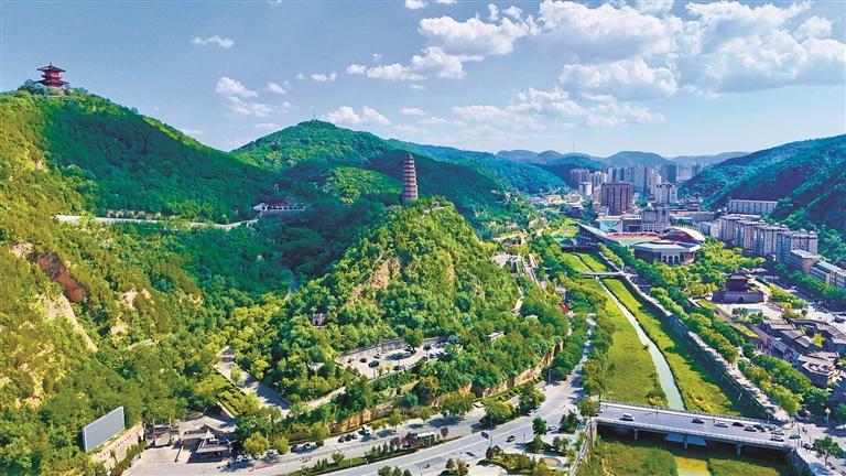 绿染黄土高原 圣地谱写新篇